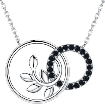 Náhrdelník Dámský náhrdelník se spojeným přívěskem D763