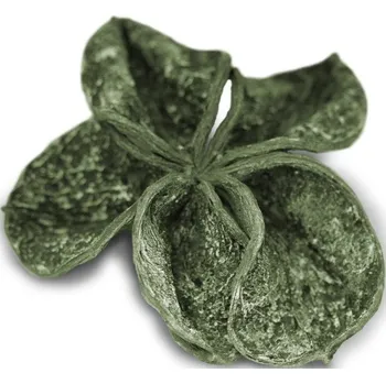 Indická sušina Land lotus frosted color zelená, 20 ks