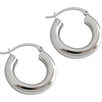 Náušnice Dámské náušnice kruhy G118 stříbrná