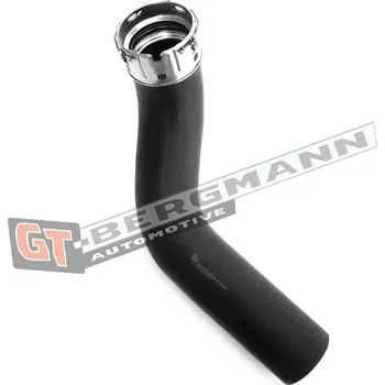 Turbodmychadlo Hadice plnícího vzduchu GT BERGMANN GT52-165