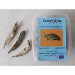 Trixie Rybičky sušené v krabičce 200 ml