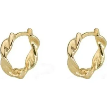 Náušnice Dámské kruhové náušnice R42 zlatá 4