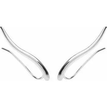 Náušnice Dámské lemující náušnice R32 stříbrná