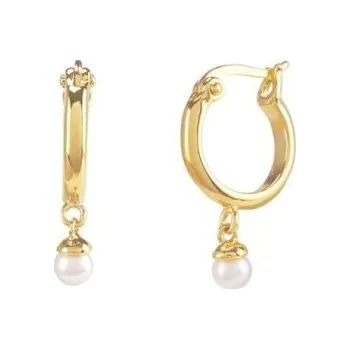 Náušnice Dámské kruhové náušnice s přívěskem R79 zlatá 2