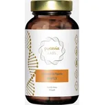 Puravia Labs Kurkumin & piperin komplex