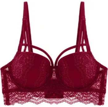 Podprsenka Dámská Push-up podprsenka s krajkou Cristal bordová 70B