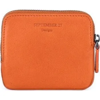 Ledvinka Cestovní pouzdro na doklady T1118 oranžová