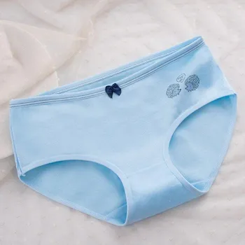 Kalhotky Dámské kalhotky s potiskem ježků modrá XXL