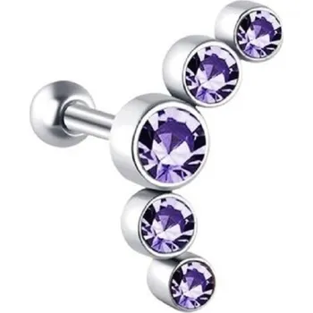 Náušnice Dámská lemující náušnice H718 7