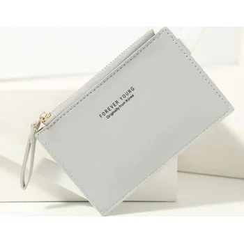 Ledvinka Cestovní pouzdro na doklady T948 šedá