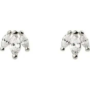 Náušnice Dámské náušnice pecky A1684 stříbrná 1