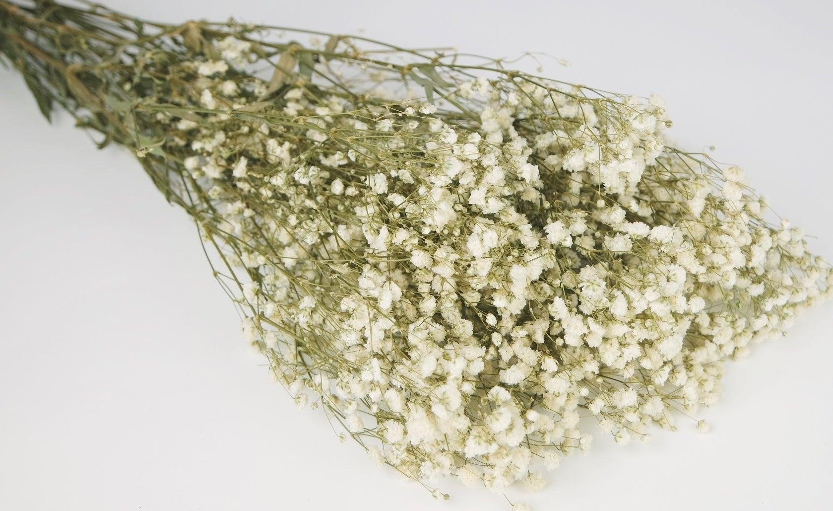 Nevěstin závoj - Gypsophila stabilizovaná bílá 300 g