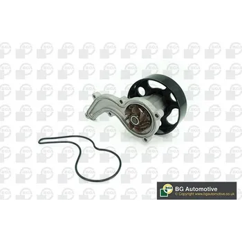 Chladič motoru Vodní čerpadlo, chlazení motoru BGA CP2506