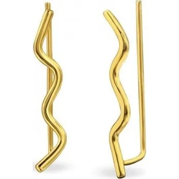 Náušnice Dámské lemující náušnice A2538 zlatá