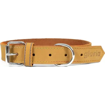 Vodítko pro psa Kožený obojek pro psa Gloria Oasis Žlutá (55 x 2,5 cm)