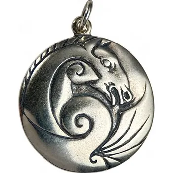 Přívěsek Drakkaria KELTSKÝ KŮŇ stříbrný přívěsek, Ag 925, 15g