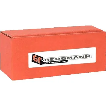 Zavěšení kol GT-Bergmann GT24-087 Sada ložisek kola