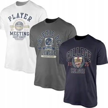 Pánské tričko Pánská trička na léto, sada 3 x T-shirt Tričko 100% Bavlna 3 ks