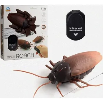 RC model auta RC brouk 1