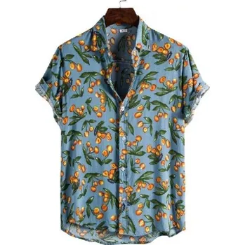 Pánská košile Pánská košile s krátkým rukávem F436 L 14