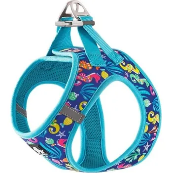 Obojek pro psa Reflexní postroj pro domácí mazlíčky Nastavitelné kšíry pro psy Prodyšná vesta pro psy Bezpečnostní postroj pro malé psy tyrkysová M