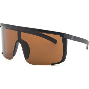 Pánské sluneční brýle E2041 2