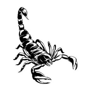 Odstranitelné tetování Dočasné vodotěsné tetování Škorpion 10 x 8 cm Falešné tetování na tělo Tetovačka s motivem škorpiona Odolné dočasné tetování na 15 dní