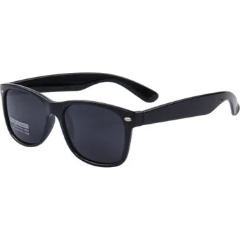 Pánské sluneční brýle E1956 1