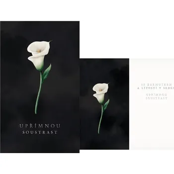 UNIPAP přání kondolenční M13-087 T PRANI_T_2456 558775