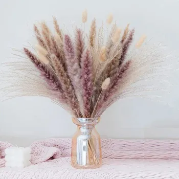 umělá květina Dekorační pampová tráva&nbsp;70&nbsp;ks V154