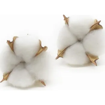 Umělá větvička bavlníku 10 ks bílá