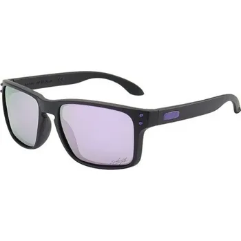 Pánské sluneční brýle E2203 10