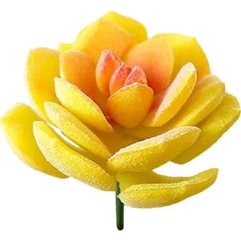 umělá květina Umělý sukulent C642 2