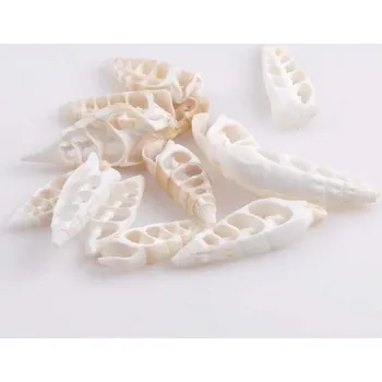 Dekorace do akvária Mořská ulita 20 ks