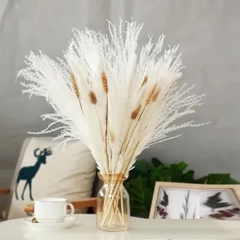 umělá květina Umělá pampová tráva 45&nbsp;ks