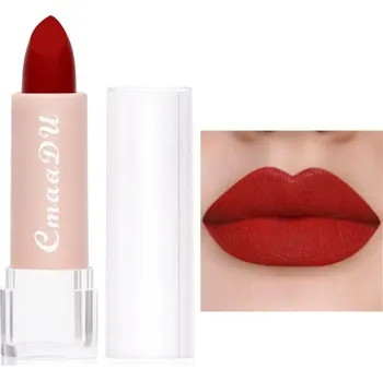 Rtěnka Matná rtěnka s voděodolným dlouhotrvajícím účinkem Make-up na rty Voděodolná kosmetika 10