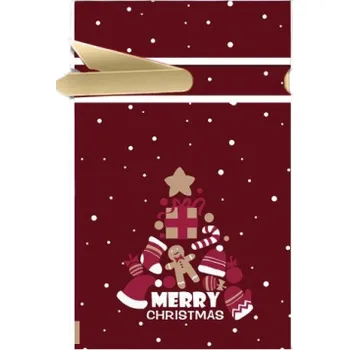 Dárková taška Vánoční dárkový sáček 23 x 15 cm 10 ks T1161 13