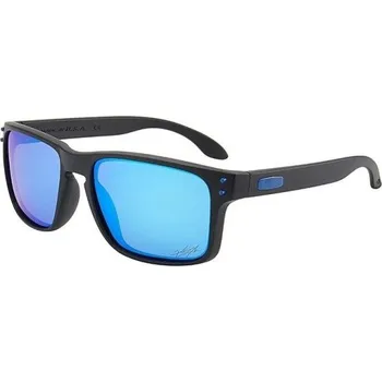 Pánské sluneční brýle E2203 6