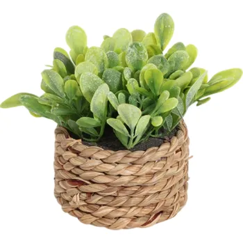 umělá květina Umělá rostlina v květináči 11x7,5 cm Dekorativní zelená rostlinka s listy v proutěném obalu do kanceláře na stůl do obývacího pokoje