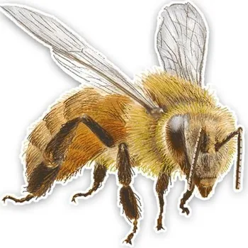 Samolepicí dekorace na vozidlo Samolepka na auto včela B490