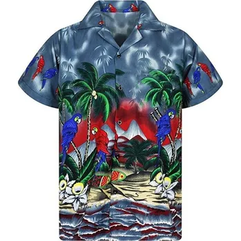 Pánská košile Pánská košile s palmami F553 šedá XL