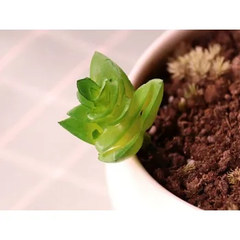 umělá květina Umělý sukulent C580 14