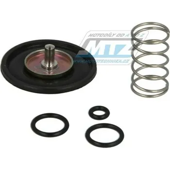 Sada akcelerační pumpičky karburátoru (Accelerator Pump) - Honda GL1000LTD+ GL1000K+ GL1000Z + GL1000 Goldwing TMACV-105