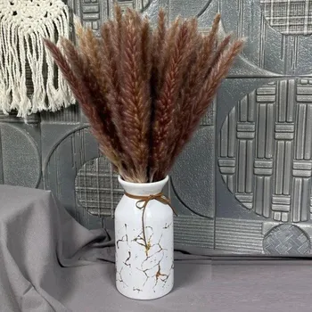 umělá květina Umělá pampová tráva&nbsp;30 - 45 cm 30 ks hnědá