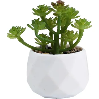 umělá květina Umělé sukulentní květiny v květináči Plastové dekorativní sukulenty Umělé květiny do bytu Kancelářská zelená dekorace