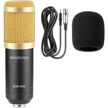 Mikrofon Ruční mikrofon černá