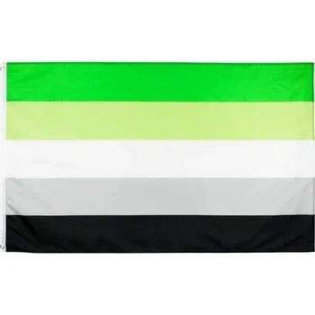 Vlajka Vlajka aromantiků 60 x 90 cm