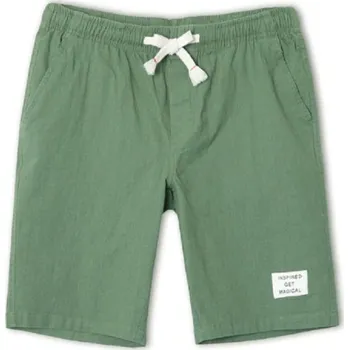 Pánské stylové kraťasy A880 zelená S