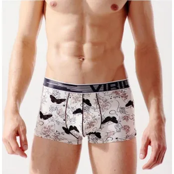 Pánské spodní prádlo Pánské boxerky se zvířaty L 1