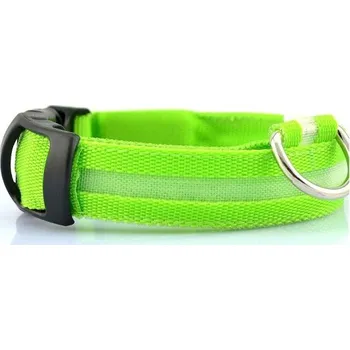Obojek pro psa Svítící LED obojek pro psy zelená M